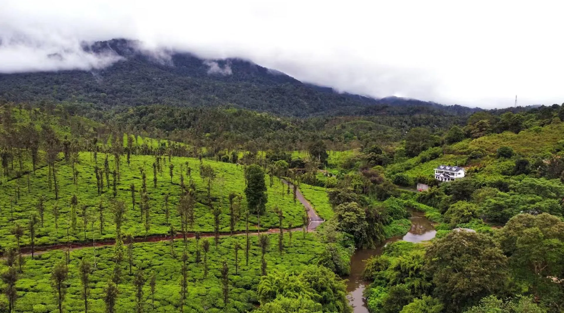 White Fort Holiday Home Vythiri